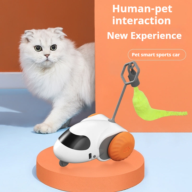 Intelligent gravity sports car cat toy