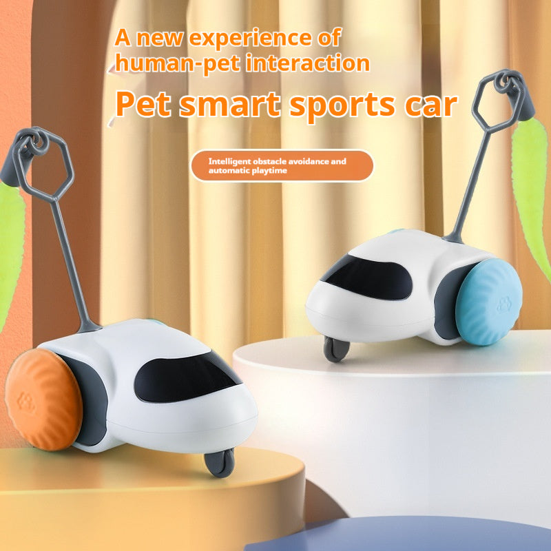 Intelligent gravity sports car cat toy